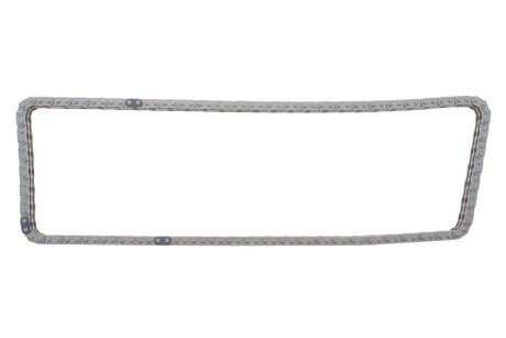 Ланцюг з натягувачем в комплекті ina 559181521