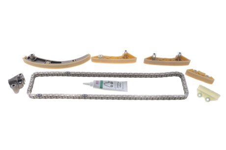 Ланцюг з натягувачем в комплекті ina 559181521