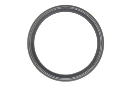 Комплект ланцюга ГРМ ina 559181840