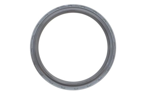 Комплект ланцюга ГРМ ina 559181840