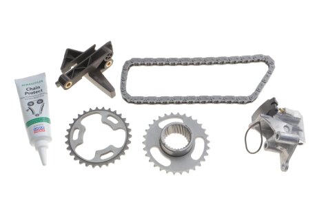 Комплект ланцюгів привода ina 559182230