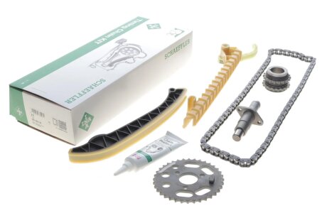 Комплект ланцюгів привода ina 559182330