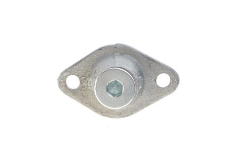 Комплект ланцюгів привода ina 559182330