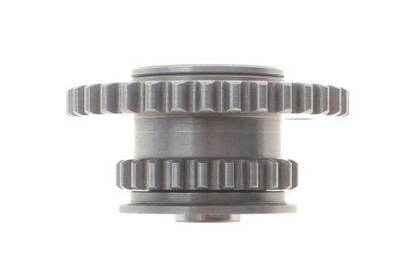 Комплект ланцюгів привода ina 559182650