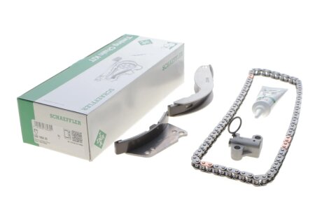 Комплект привідного ланцюга ina 559186620 на Киа Соренто 1