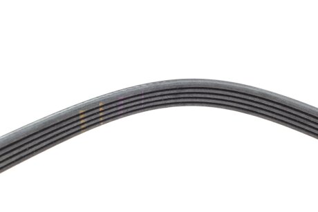 Привідний ремінь генератора ina FB5PK1255