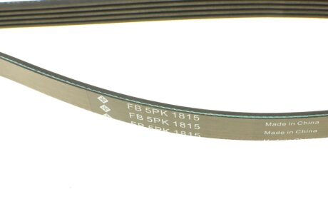 Приводной ремень генератора ina FB5PK1815