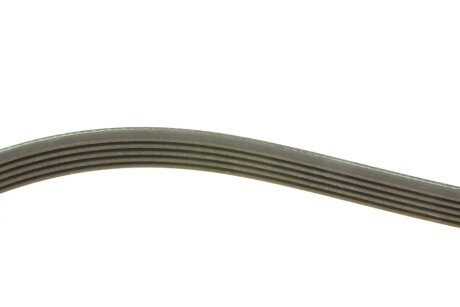 Привідний ремінь генератора ina FB5PK830