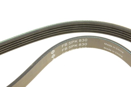 Привідний ремінь генератора ina FB5PK830