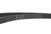 Комплект ГРМ з водяним насосом ina 530 0158 30