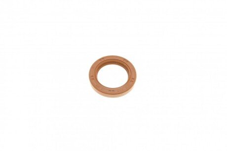 Комплект ланцюга ГРМ ina 559103340