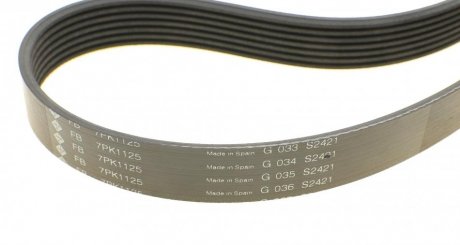 Комплект (ремінь+ролики) ina 529008810