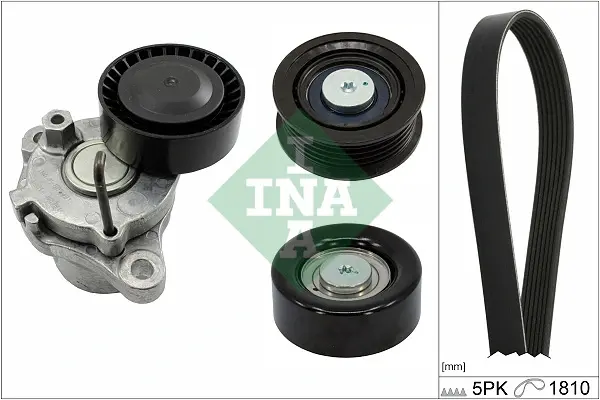 Комплект (ремінь+ролики) ina 529029910