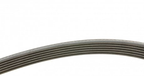 Комплект (ремінь+ролики) ina 529033810