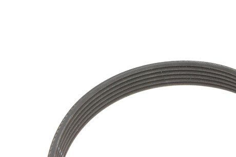 Комплект (ремінь+ролики) ina 529037810