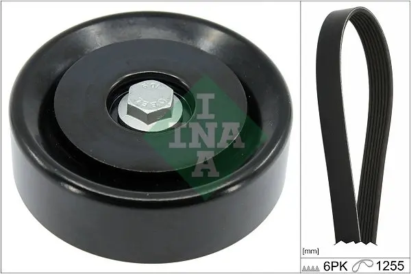 Комплект (ремінь+ролики) ina 529 0496 10