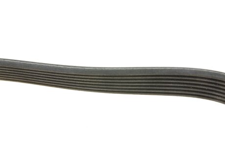 Комплект ремня грм ina 529001610