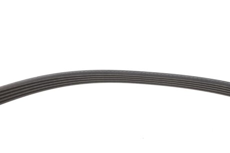 Комплект ремня грм ina 529008210