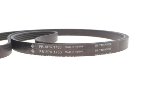 Комплект ремня грм ina 529008210