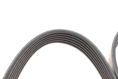 Комплект ремня грм ina 529009010