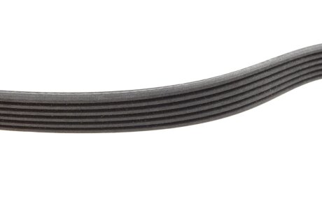 Комплект ременя грм ina 529010310