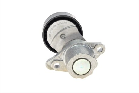 Комплект ременя грм ina 529015910