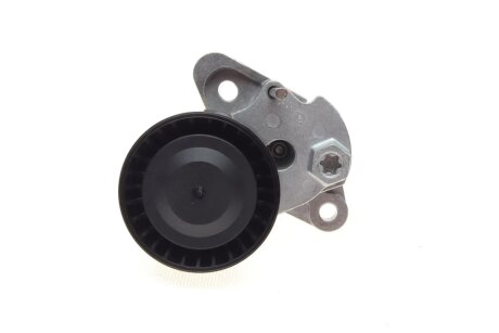 Комплект ременя грм ina 529015910