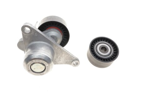 Комплект ременя грм ina 529031710