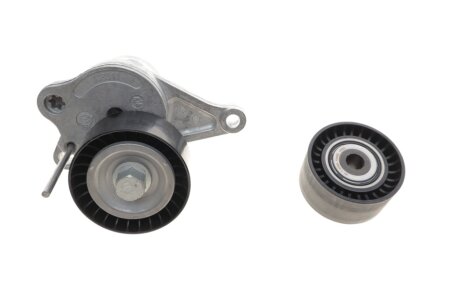 Комплект ременя грм ina 529031710