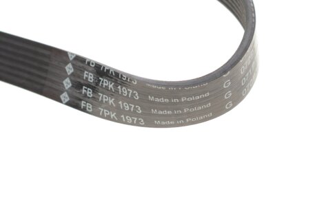 Комплект ременя грм ina 529031710