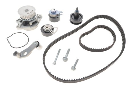 Комплект ремня грм ina 530008931