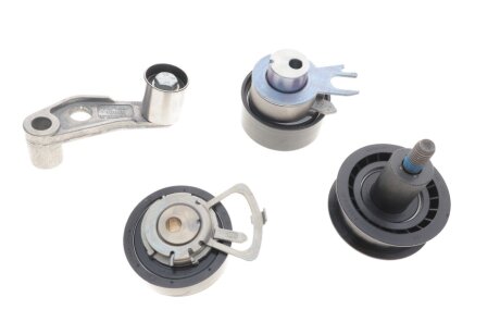 Комплект ремня грм ina 530008931