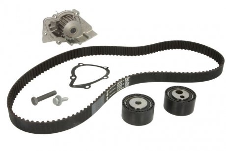 Комплект ремня грм ina 530011130