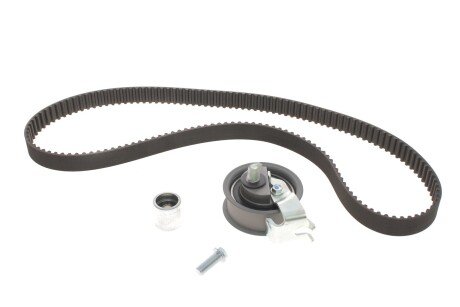 Комплект ремня грм ina 530017010