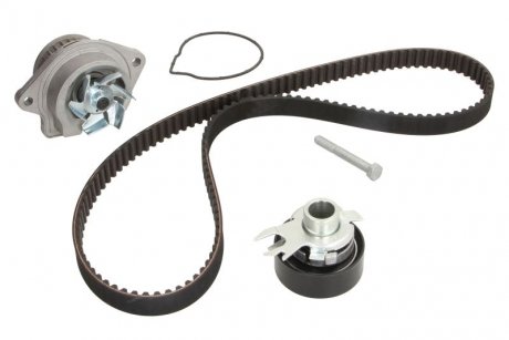 Комплект ремня грм ina 530019930