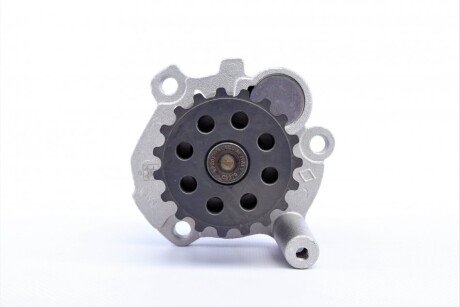 Комплект ремня грм ina 530020130