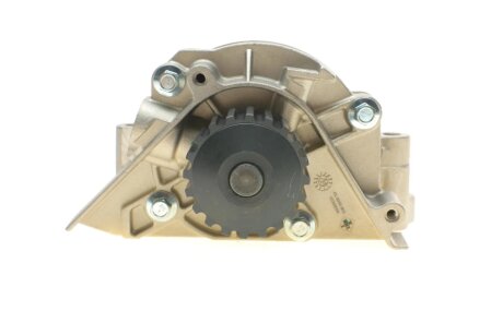 Комплект ремня грм ina 530023830