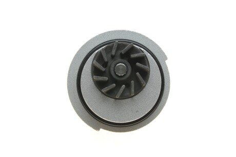 Комплект ремня грм ina 530033231