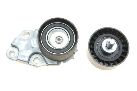 Комплект ремня грм ina 530033231