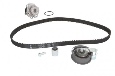 Комплект ремня грм ina 530034430