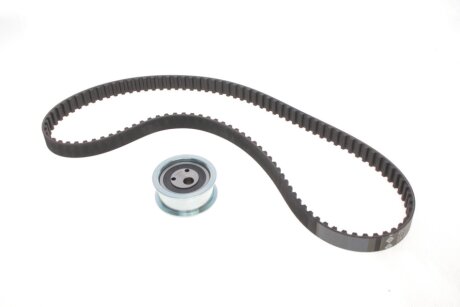 Комплект ремня грм ina 530044810