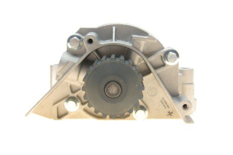 Комплект ремня грм ina 530047130