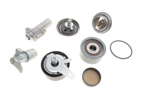 Комплект ремня грм ina 530053930