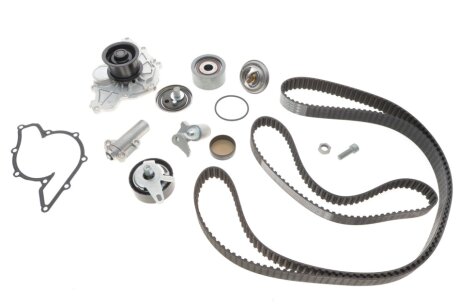 Комплект ремня грм ina 530053930