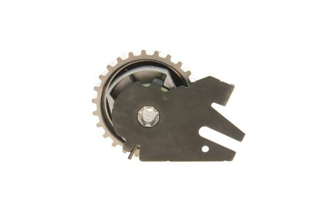 Комплект ремня грм ina 530062530