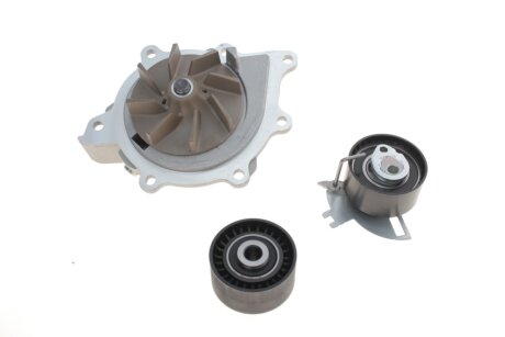 Комплект ремня грм ina 530069130