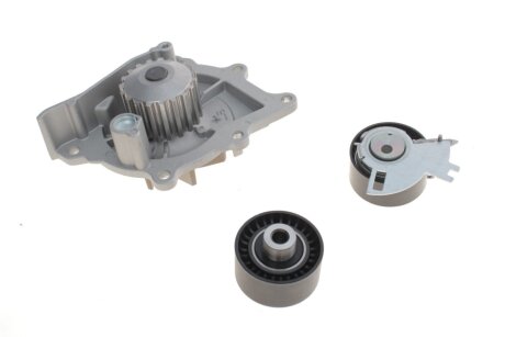 Комплект ремня грм ina 530069130