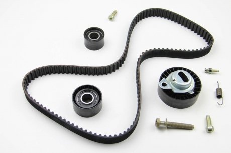 Комплект ремня грм ina 530010210