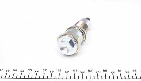 Натягувач ланцюга ГРМ ina 551012010