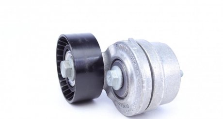 Натяжитель 531 0270 10 ina 534010120